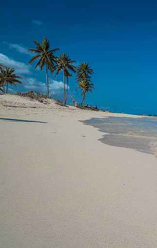 Guardalavaca